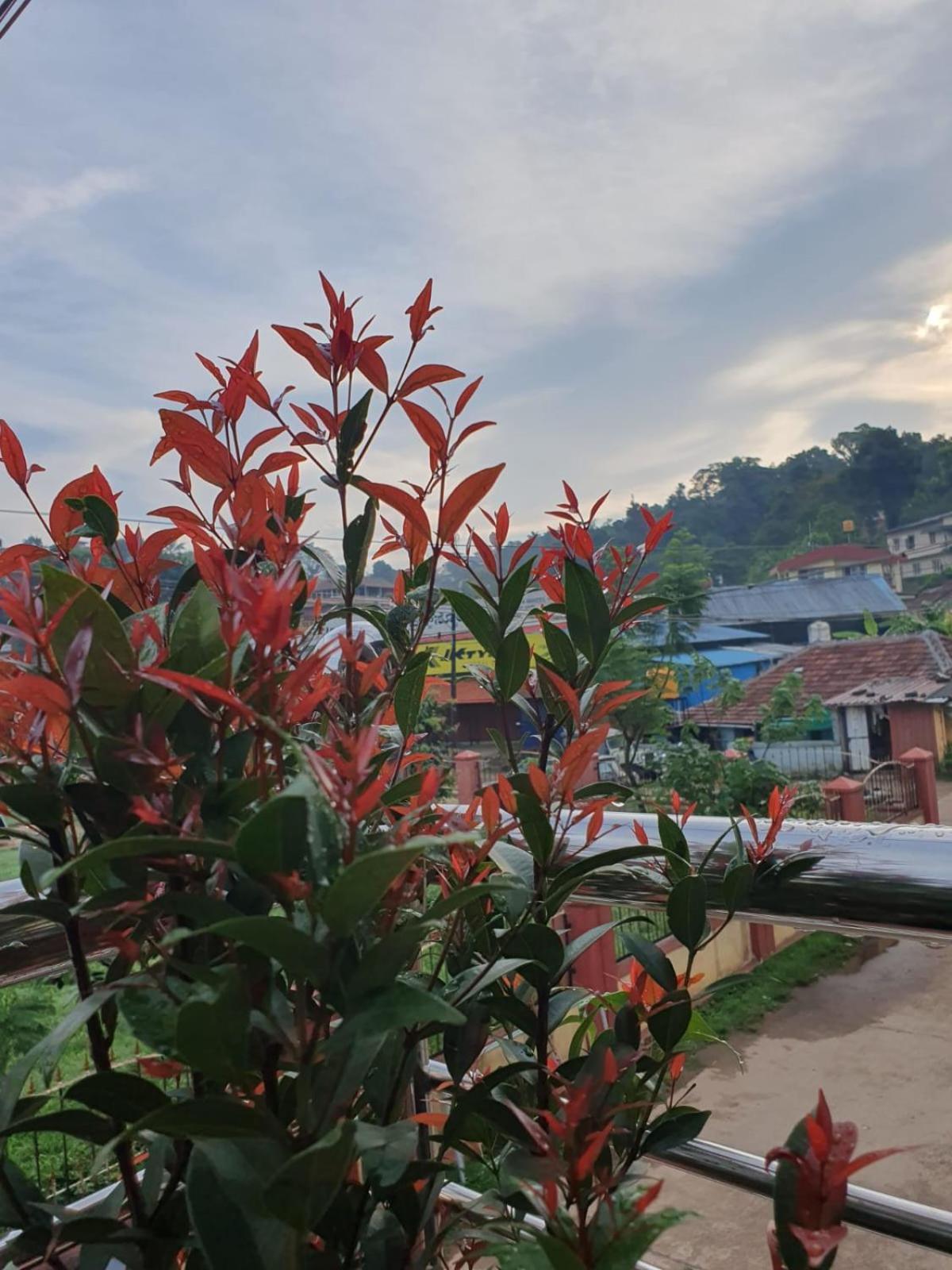 Varam Homestay Madikeri Eksteriør billede